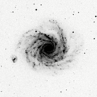 NGC 1232