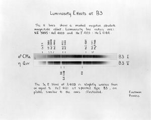 Plate 15