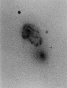 Arp 118