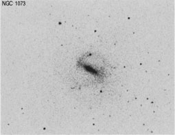 NGC 1073 nir