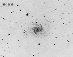 NGC 2835 blue
