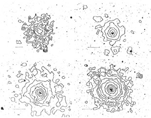 Figure 8