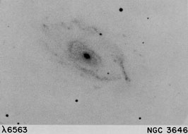 NGC 3646