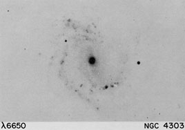 NGC 4303