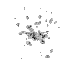 NGC 2403 moment 0
 map