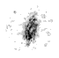 NGC 3521 moment 0
 map