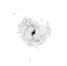 NGC 4303 moment 0
 map
