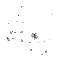 NGC 4725 moment 0
 map