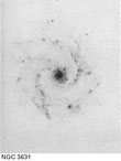 NGC 3631