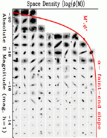 Plate 1