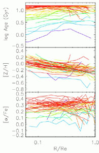 Figure 31