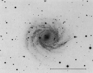 NGC 2223