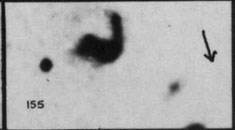 VV155