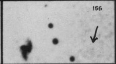 VV156