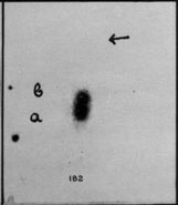 VV182b