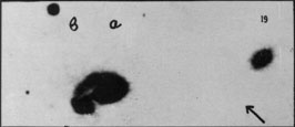 VV19b