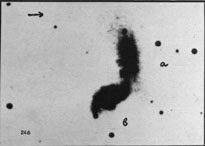 VV246a