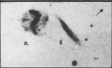 VV317