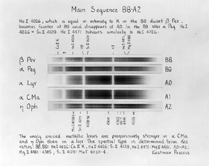 Plate 19