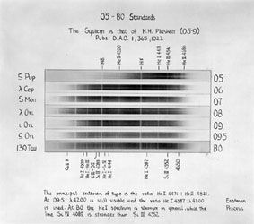 Plate 1