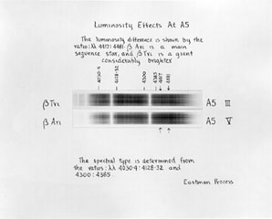 Plate 26