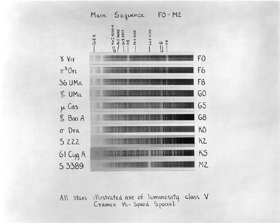 Plate 29