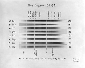 Plate 3