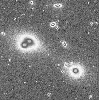 Figure 2a