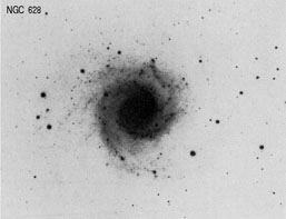 NGC 628 nir