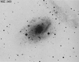NGC 2403 nir