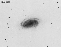 NGC 2903 nir