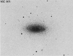 NGC 3675 nir