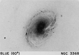 NGC 3368
