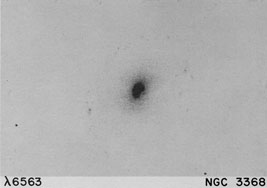 NGC 3368