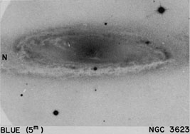 NGC 3623