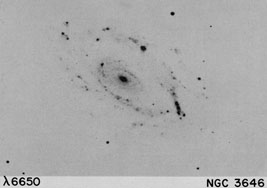 NGC 3646