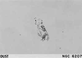 NGC 6207