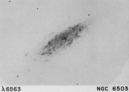 NGC 6503