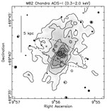 Figure 1b