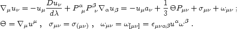 Equation 4.81