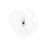 NGC 6946 moment 0
 map