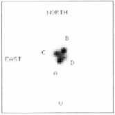 Figure 2a