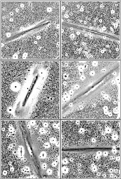 Figure 20