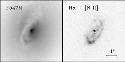 Figure 1.2