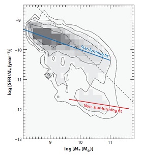 Figure 8