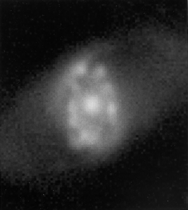 ESO 565-11