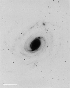 AM 0050-312