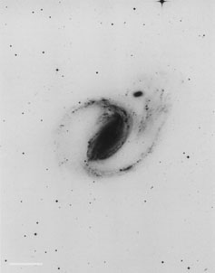 AM 0244-302