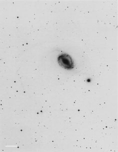 AM 0402-433