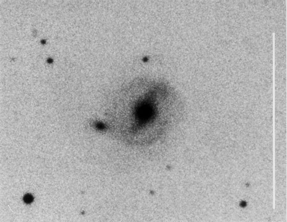AM 0741-761